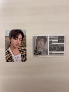 ald1 star road リオ トレカ