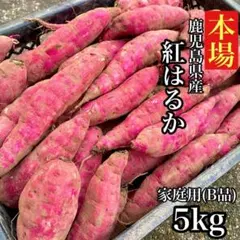【規格外】紅はるか 訳あり 5kg さつまいも 訳あり さつま芋 375