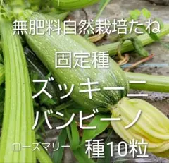 uchang様 リクエスト 5点 まとめ商品