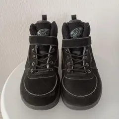 Item thumbnail for item 9f1ea3ee-fe07-48f2-b738-abe8b65b905c