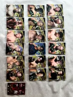 RIZINカード トレーディングカード 19枚セット