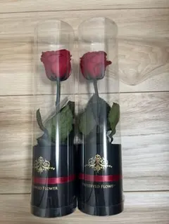 Item thumbnail for item be7607b4-46ac-4b1a-9126-4727c39a46b2