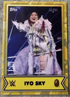 Item thumbnail for item 071ca95b-cf4e-45bf-9760-2a10ee19c98c