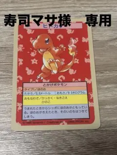 寿司マサ様　専用(ヒトカゲ、ゼニガメ、カメール)