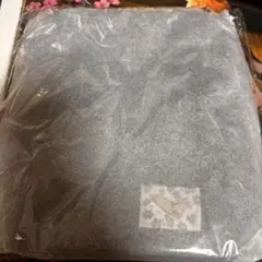 Dr.STONE STONE ペンライト&チケットショルダーポーチ