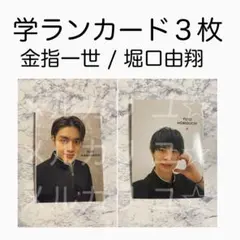 ☆ 金指一世 美少年 堀口由翔 学ラン自撮りカード winkup 厚紙カード