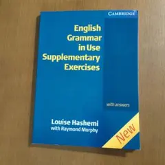 English Grammar in Use Supplementary