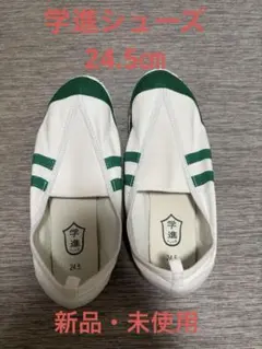 【新品・未使用】学進シューズ　緑　上履き　24.5㎝