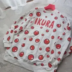 美品PUNYUSいくらIKURAプルオーバー.サイズ3