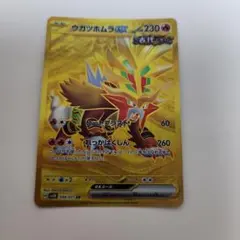 ウガツホムラex ur