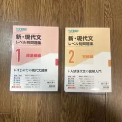 新・現代文レベル別問題集1.2セット