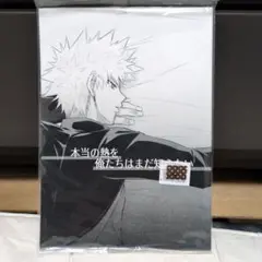 ヒロアカ同人誌❢勝デク❢【本当の熱を俺たちはまだ知らない】新品未開封品❢❢