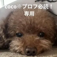 Item thumbnail for item 75a9be38-5859-4bd7-b012-59f3a42074c2