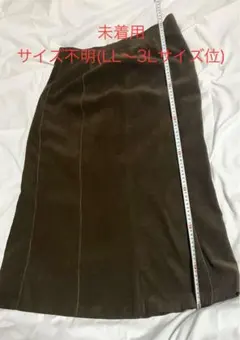 Item thumbnail for item 815d52b2-e61f-442b-bace-77d43d51ef88