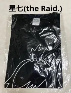 the Raid. 一陽サイン入りチェキ 2025年最新】raidチェキの人気アイテム - メルカリ