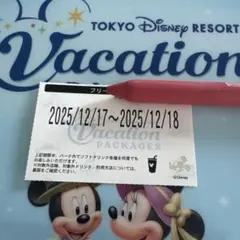 東京ディズニーリゾート フリードリンク券