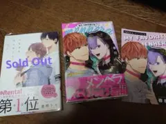 BLマンガ 　2冊ずつまとめ売り（更新アリ！）