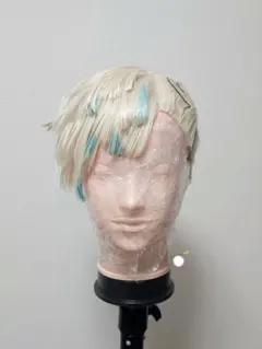 ゆ様専用　11/20まで　緋八マナ　ウィッグ