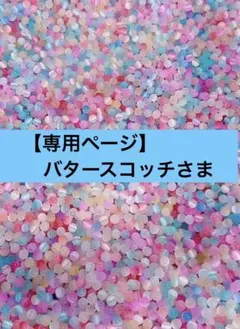 【専用ページ】バタースコッチさま