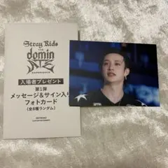 【バンチャン】StrayKids スキズ 映画 dominATE 入場特典トレカ