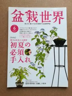 2026年最新】盆栽世界の人気アイテム - メルカリ