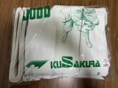 Item thumbnail for item 9f6c11ac-0a4c-4558-8ed3-a0d2eb58eafc