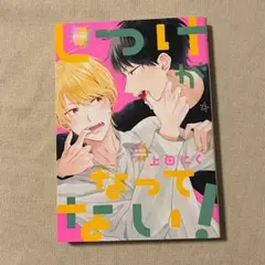 美品 バーズ コミックス BL しつけがなってない! 上田