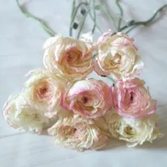 さお様 リクエスト 4点 まとめ商品