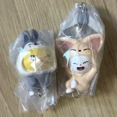 SKZOO つまんでつなげてますこっと ポガリ ジニレット