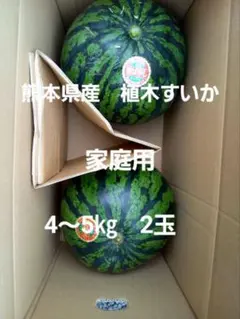 初物⭐︎熊本植木産 スイカ だんらん 1玉約4kg(2玉入) 初物⭐︎熊本植木産 スイカ だんらん 1玉約4kg(2玉入) - メルカリ
