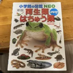 小学館の図鑑　NEO DVDつき　両生類・爬虫類