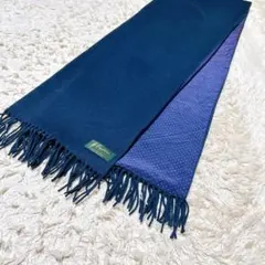 希少極美品✨ Brian Weisz カシミヤ100% 大判ストール　裏地シルク