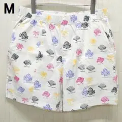 ザ ノースフェイス CLASS V ショートパンツ M キャンプファイヤー 白