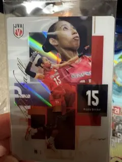 バレーボール 日本代表 ウエハース トレカ