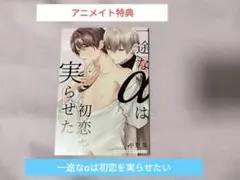 一途なαは初恋を実らせたい　アニメイト　アニメイト特典　特典　リーフレット