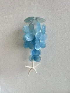 カピスシェル　ヒトデ付き