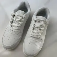 Item thumbnail for item 74ff538d-b2c4-4008-bc7b-5e054a91afc3