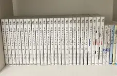 文豪ストレイドッグス 漫画