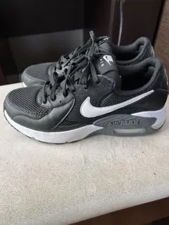 Nike Air Max ブラックスニーカー