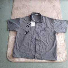 Item thumbnail for item c223042f-e55e-4e75-919f-efd834e33353