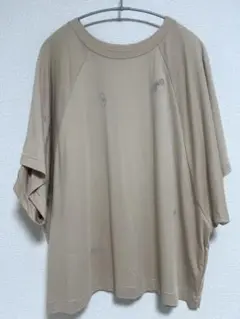 【極美品】ミナペルホネン minaperhonen 半袖Tシャツ　チョウチョ
