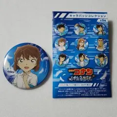 名探偵コナン ハイウェイの堕天使 キャラバッジコレクション 缶バッジ 灰原哀