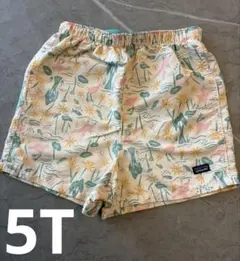 Patagonia バギーズショーツ⭐︎5T