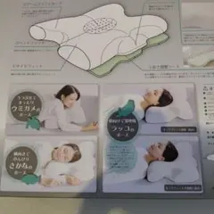 新品2個☆フランスベッド ウミガメピロー UMIGAME PILLOW 数変更可