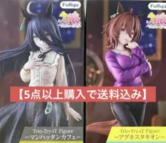 ウマ娘プリティーダービー アグネスタキオン マンハッタンカフェ 箱