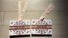 CHRISTIAN DIOR ショップ袋 2枚セット