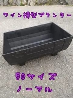 ４個セット　ワイン樽型メダカ飼育プランター　50サイズ　ブラック　オーバーフロー ワイン樽型メダカ飼育プランター 50サイズ ブラック ノーマル - メルカリ