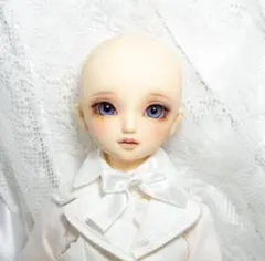 ボークス スーパードルフィー babyコラボ まぁちゃ デフォルト衣装 