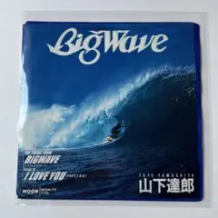 2026年最新】山下達郎 big wave cdの人気アイテム - メルカリ