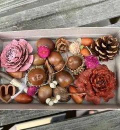 9-2 木の実セット